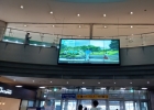 에이브이팝.AVPO…